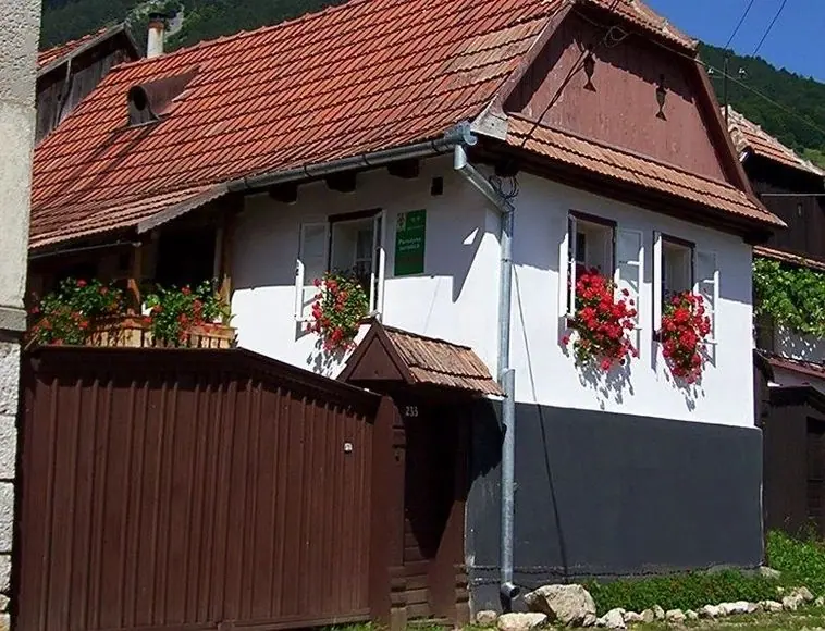 Fénykép a Torockó-gyűjteményből · 01